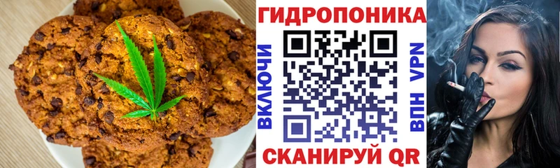 купить закладку  Инсар  Canna-Cookies марихуана 