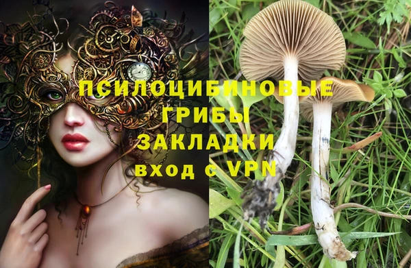 бошки Алексеевка
