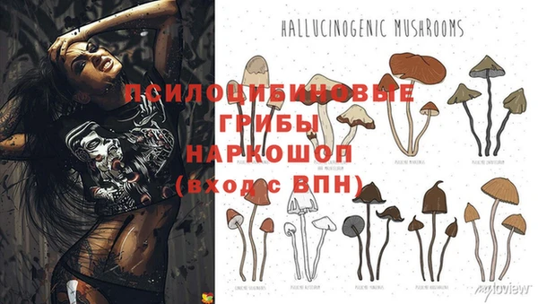бошки Алексеевка