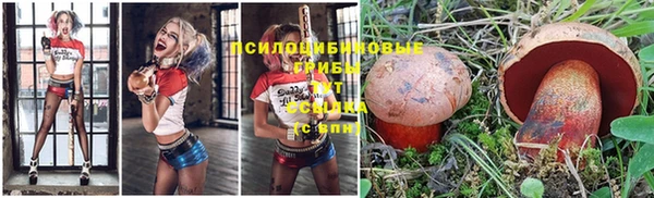амф Алзамай