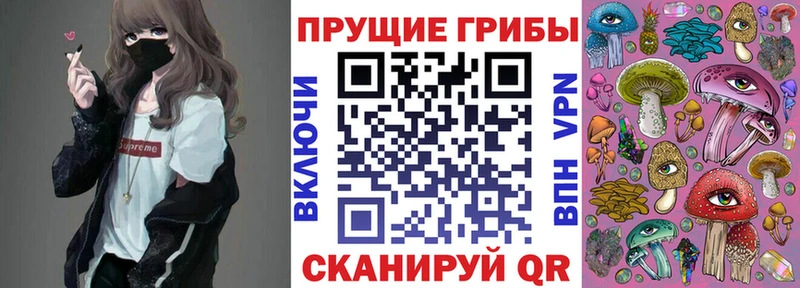 Галлюциногенные грибы MAGIC MUSHROOMS  где купить наркотик  Инсар 